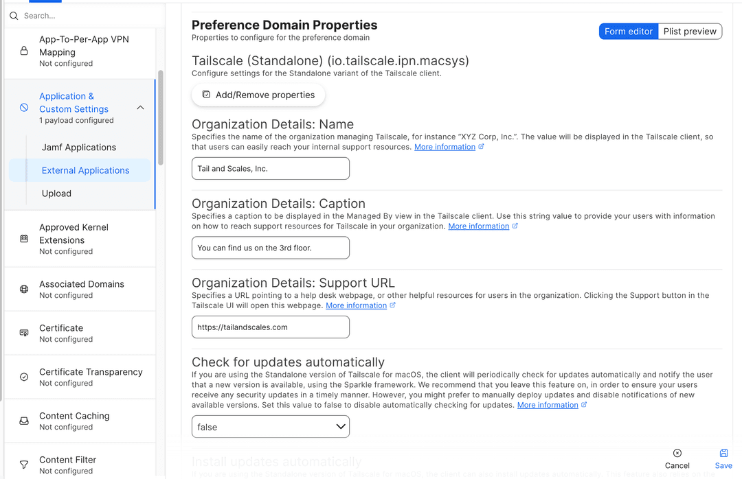 Tailscale system policies options.