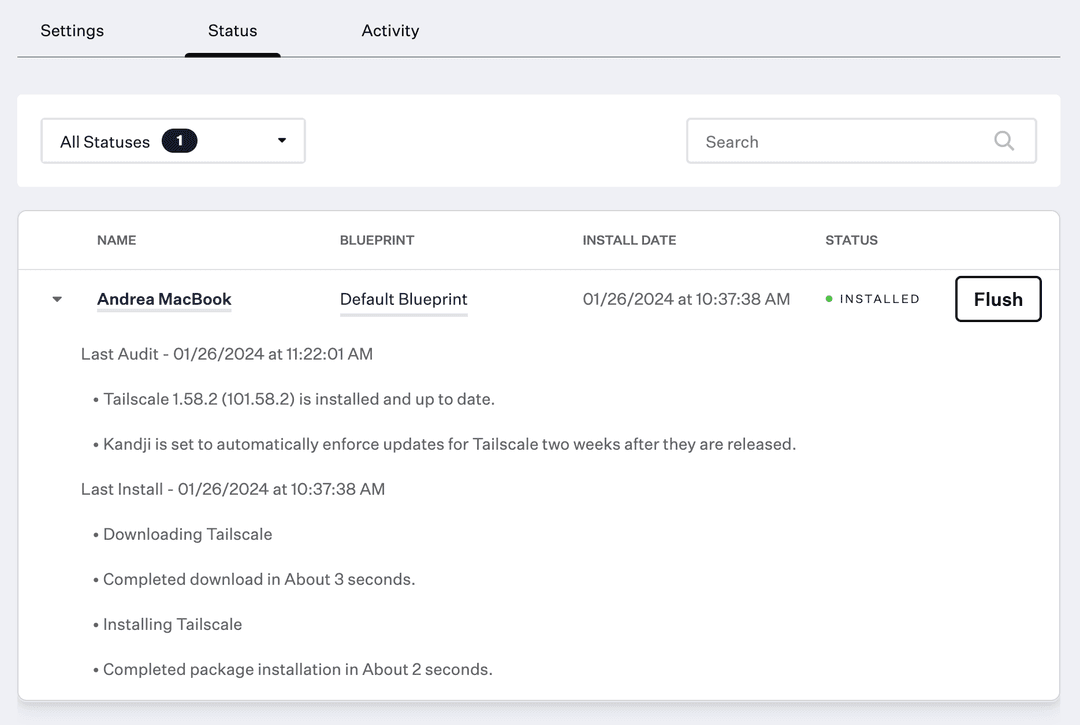 View the status of the Tailscale deployment.